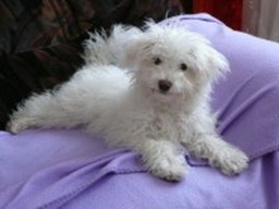 cassie_20211128_1700499194